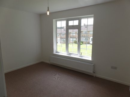 pic5